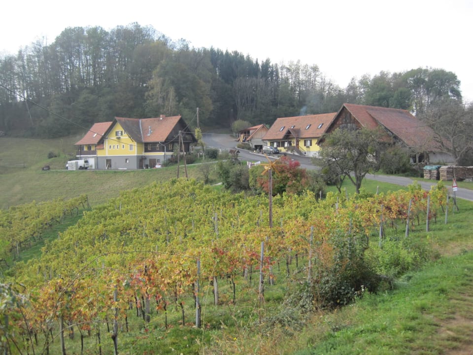 Lage in den Weinbergen Weingut & Buschenschank Pölzl