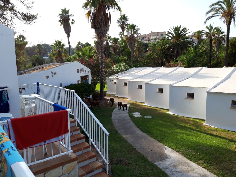 Außenansicht Flipflop Cala Romantica