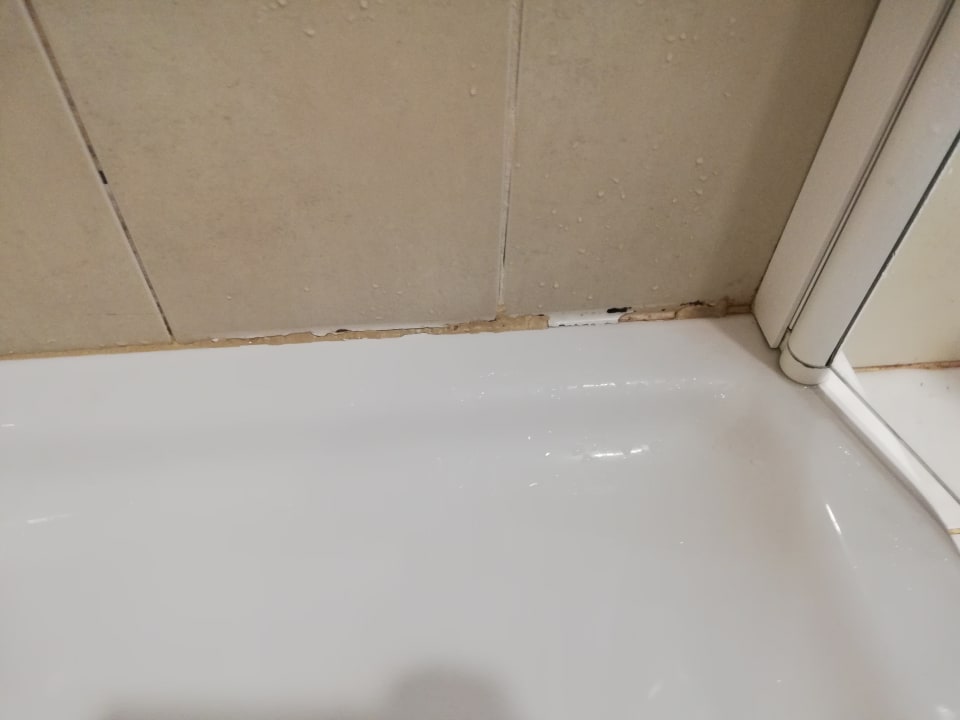 Zimmer Starfish Cuatro Palmas