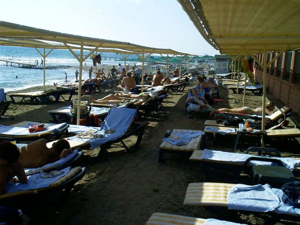 Strand Palmeras Beach Hotel