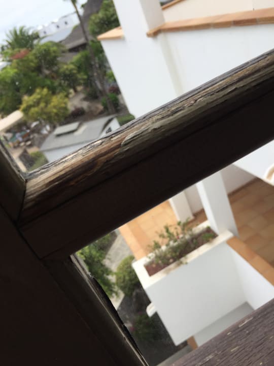 Zimmer allsun App.-Hotel Albatros