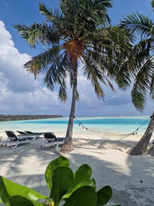Strand Meeru Maldives Resort Island