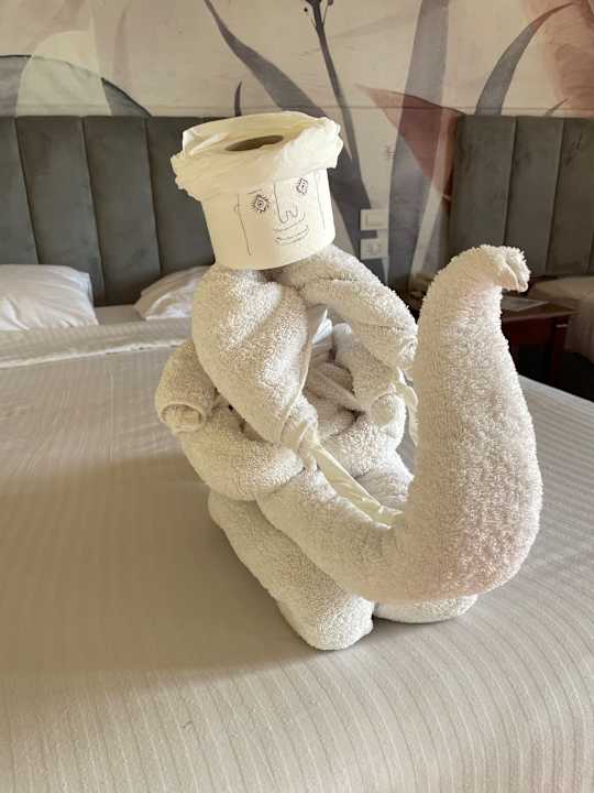 Zimmer Three Corners Sea Beach Resort