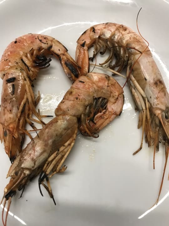 Gastro TUI KIDS CLUB Alex Beach