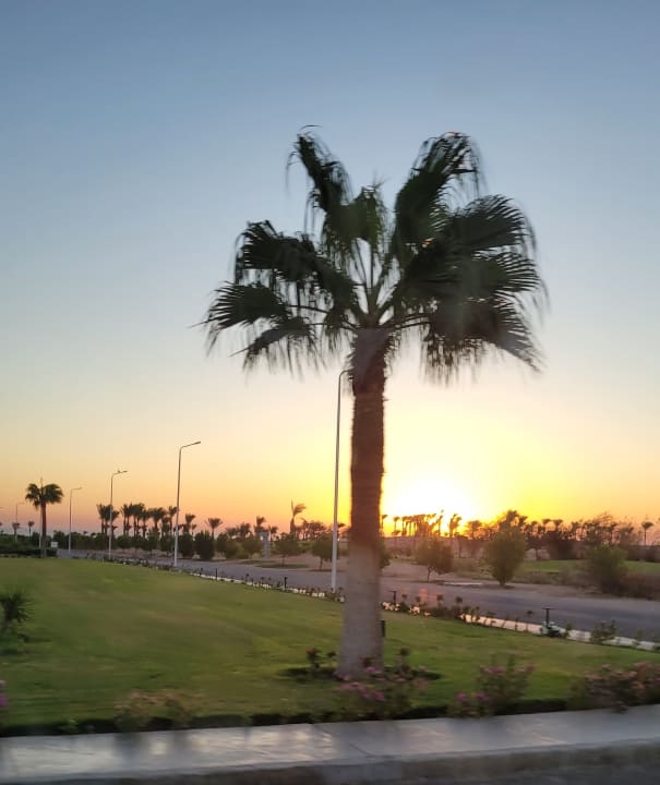 Ausblick Jaz Makadi Oasis Resort