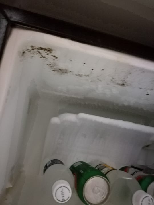 Zimmer Playabachata Hotel