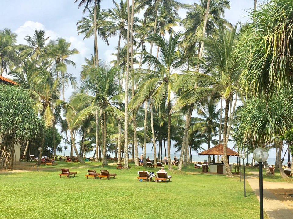 Gartenanlage Mermaid Hotel & Club