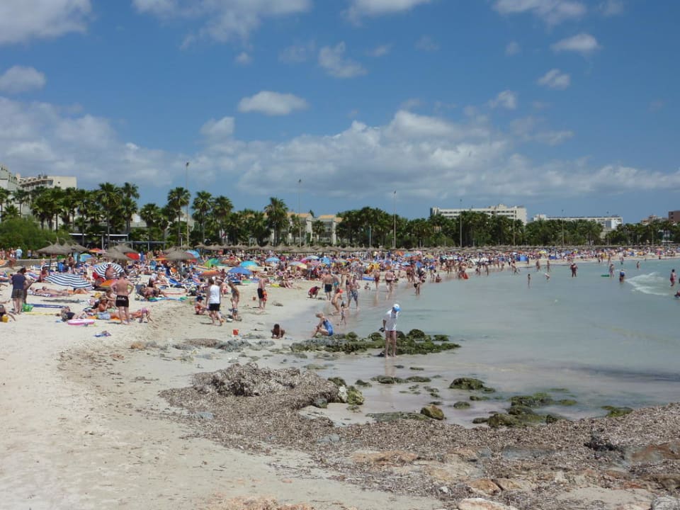 Strand Sa Coma Hipotels Mediterraneo
