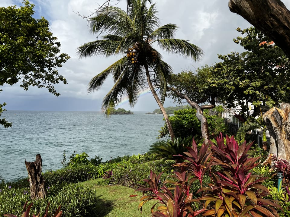 Ausblick Bahia Principe Grand Samana - Adults Only