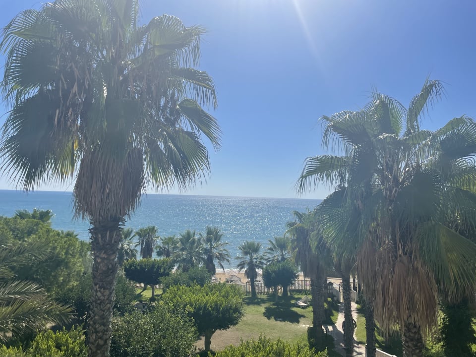 Gartenanlage Hotel Defne Dream