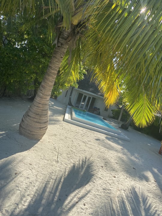 Zimmer Sun Siyam Vilu Reef
