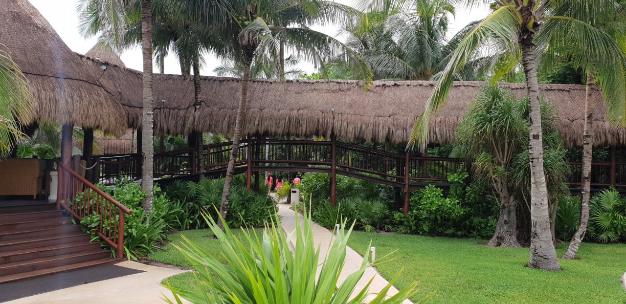 Gartenanlage Akumal Bay Beach & Wellness Resort