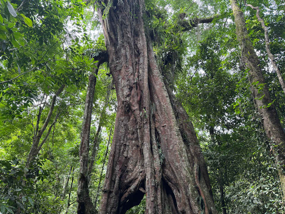 Gartenanlage Friendship Guesthouse