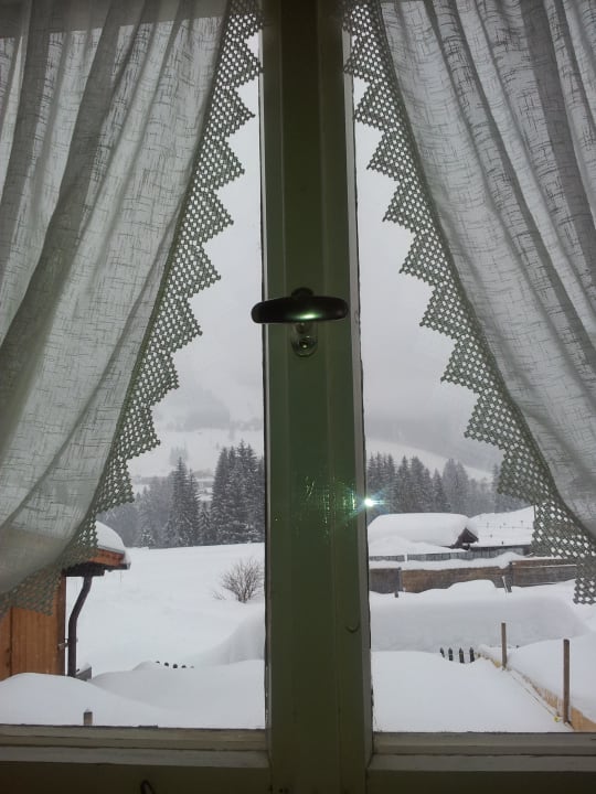 Blick aus dem Fenster im Wohnzimmer Ferienwohnung Luise