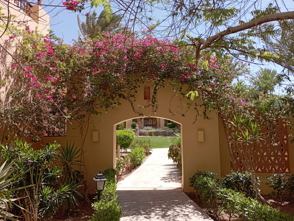 Gartenanlage Steigenberger Coraya Beach - Adults only