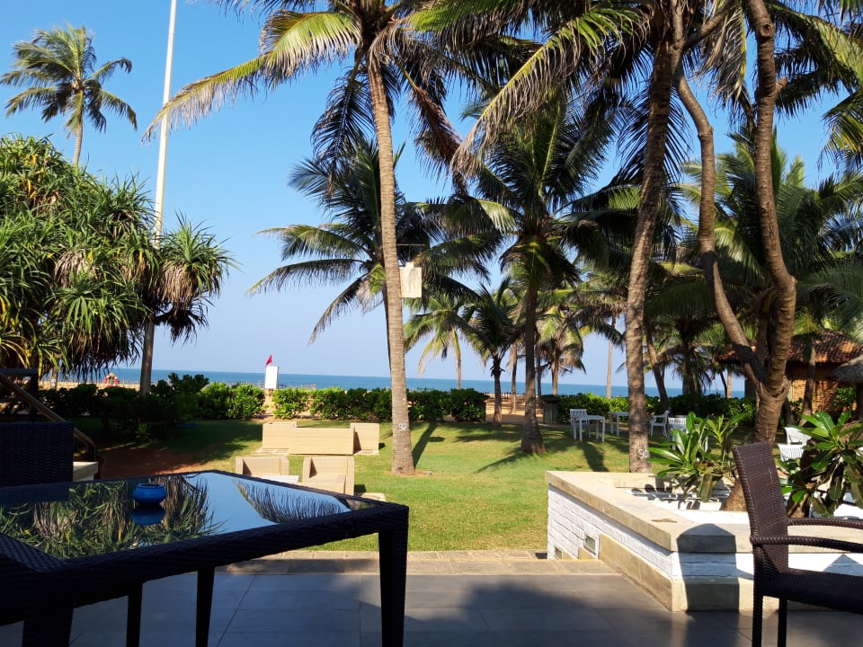 Gartenanlage Club Hotel Dolphin