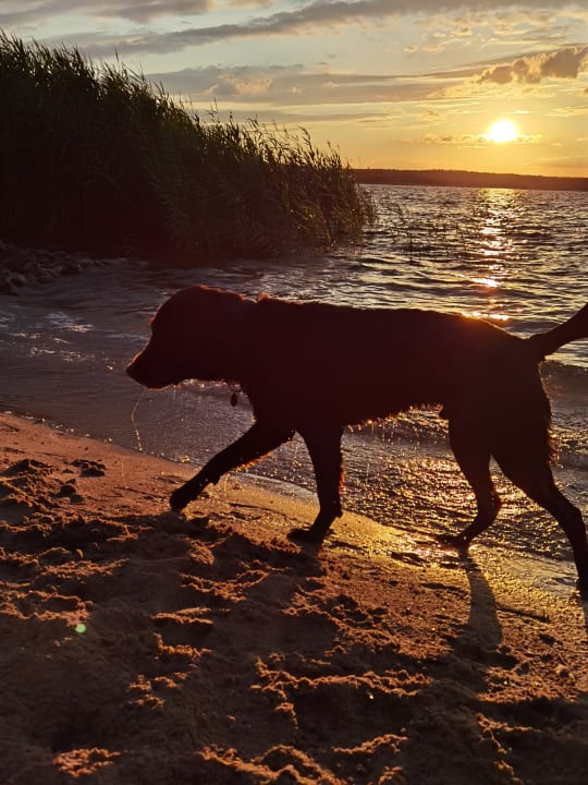 Sonstiges See- und Waldresort Gröbern