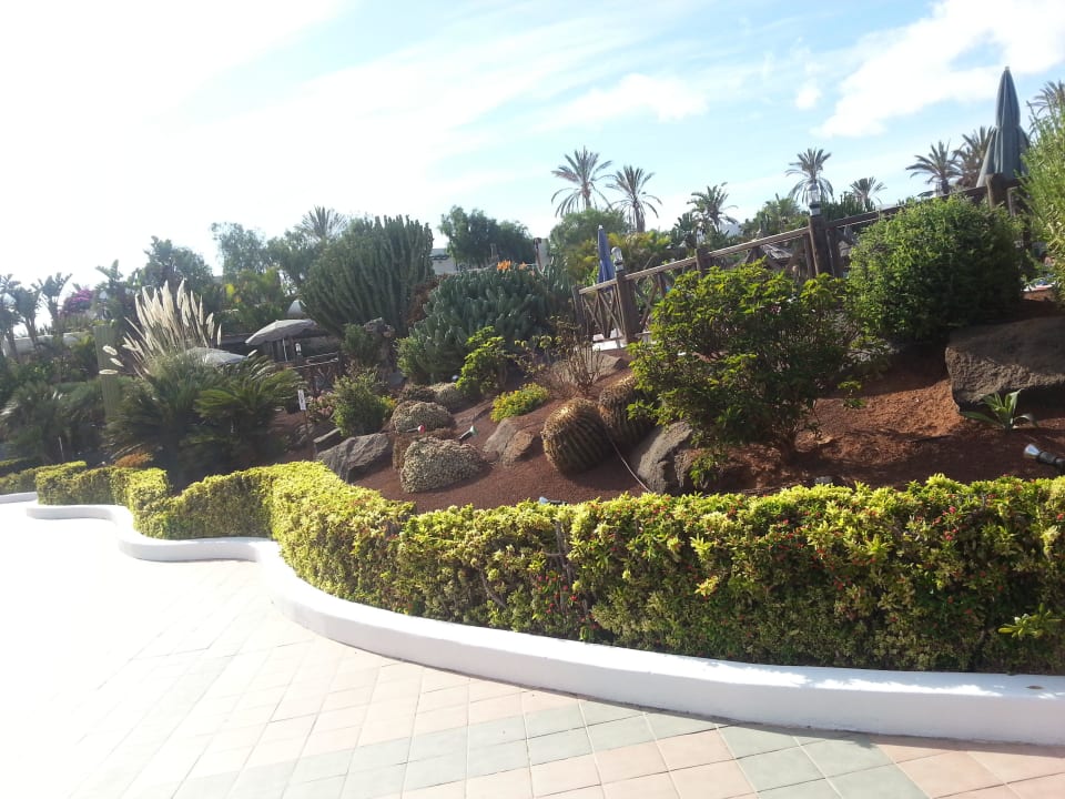 Garten Hotel HL Club Playa Blanca