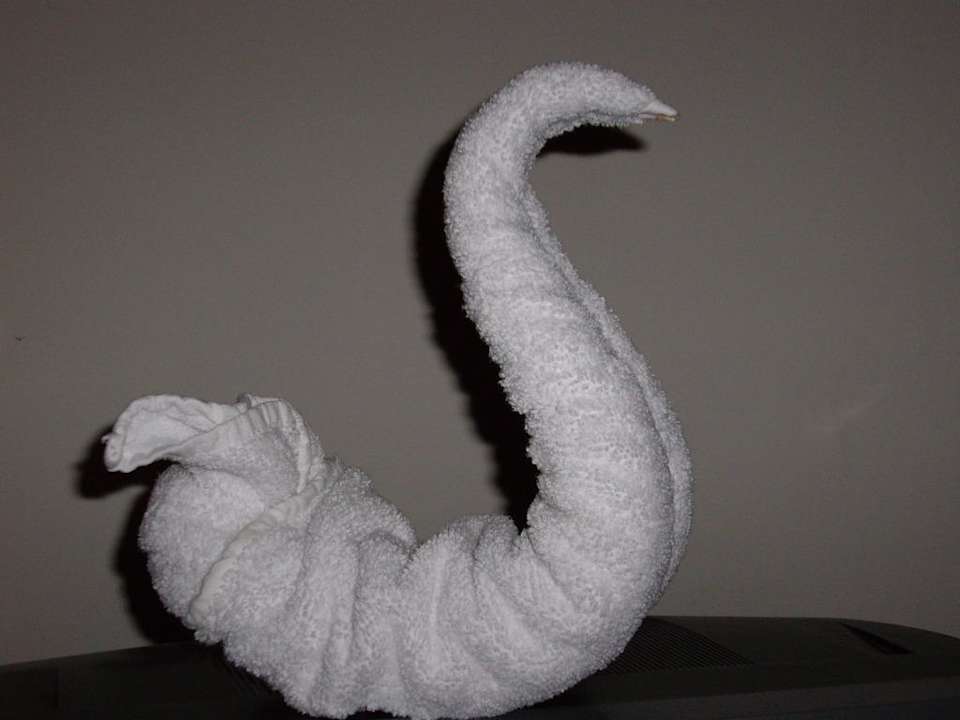 Festival Riviera Resort Riviera Aqua Park Resort