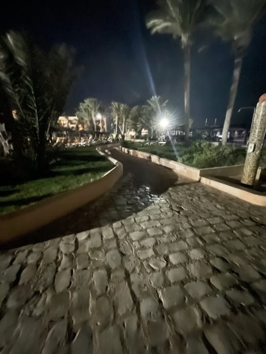 Gartenanlage Vincci Safira Palms
