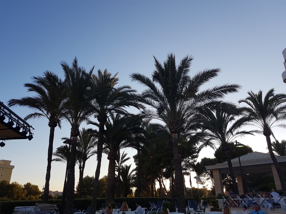 Gartenanlage Hipotels Hipocampo Playa