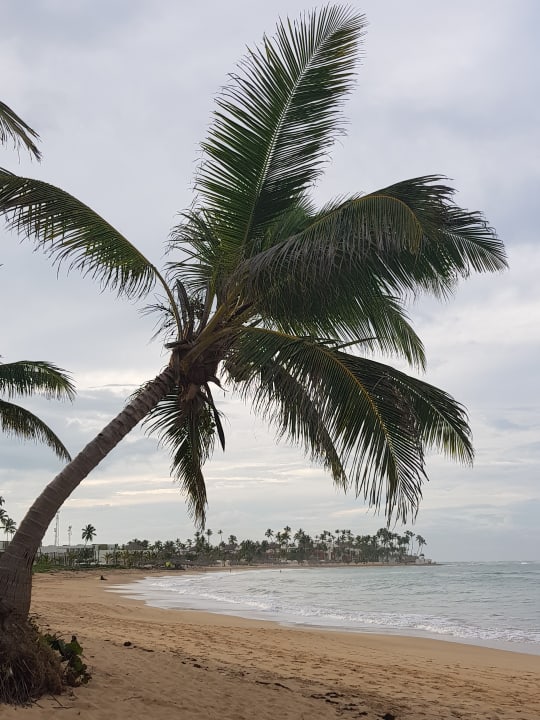 Strand Wyndham Alltra Punta Cana