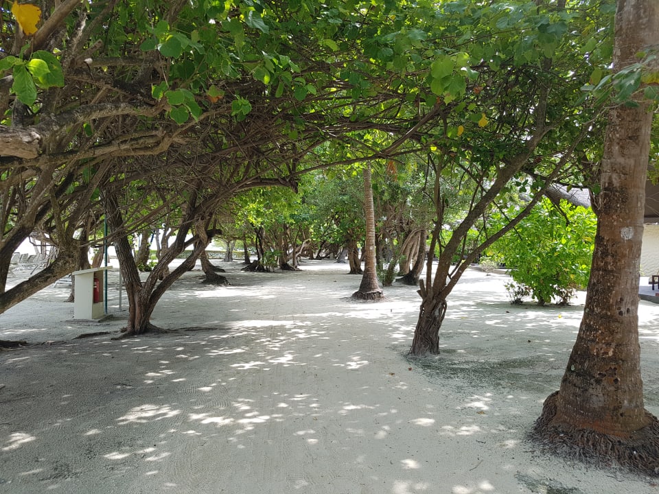 Gartenanlage Adaaran Select Hudhuran Fushi - Premium All Inclusive
