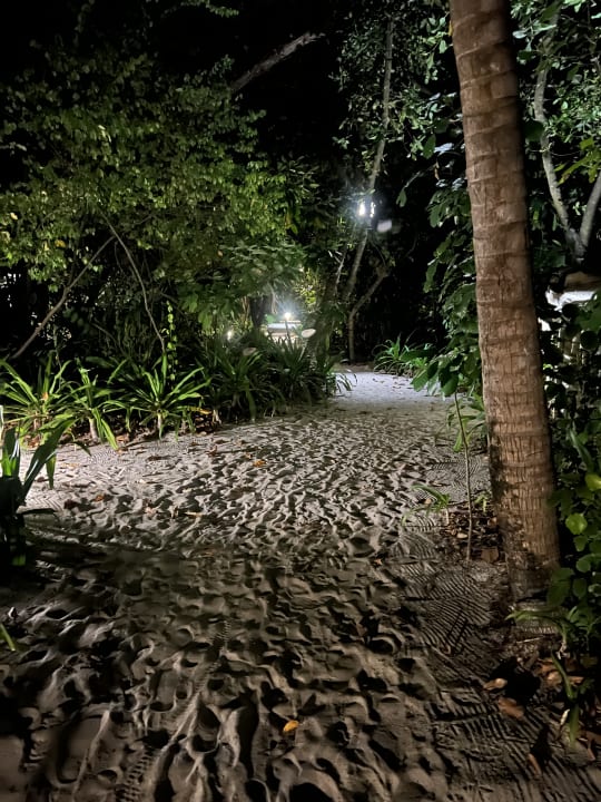 Gartenanlage NH Collection Maldives Reethi Resort