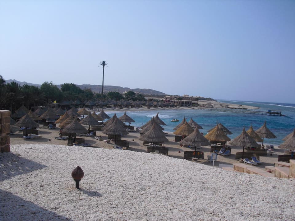 Der Blick zum Strand und zum Meer Mövenpick Resort El Quseir