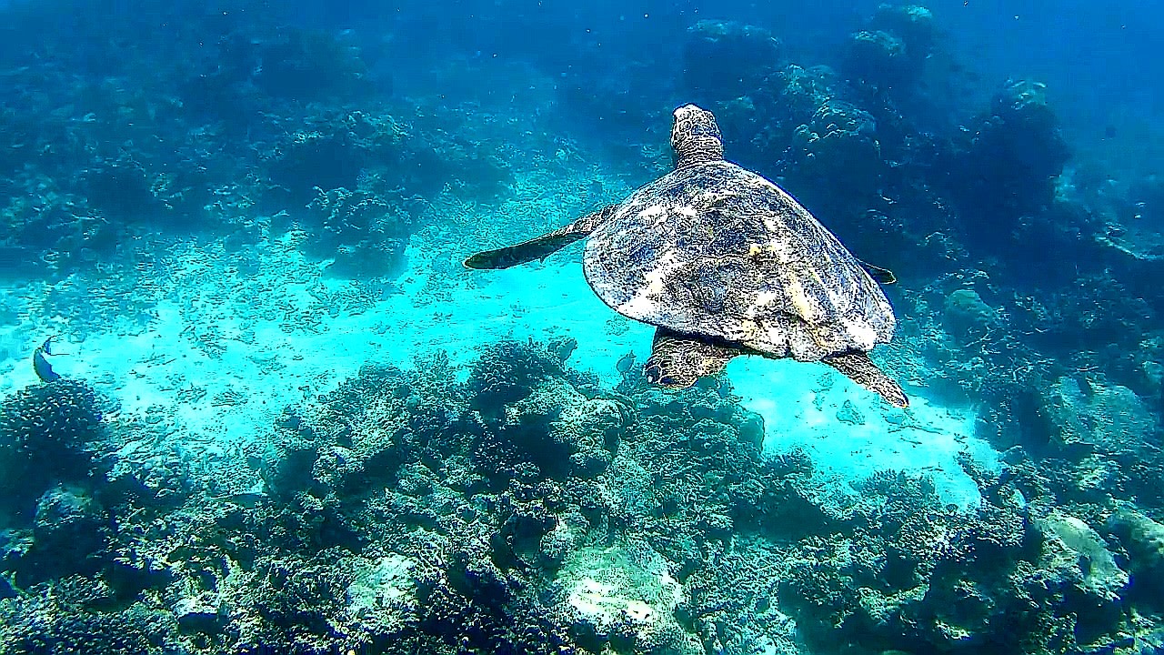 Sport & Freizeit Adaaran Select Hudhuran Fushi - Premium All Inclusive