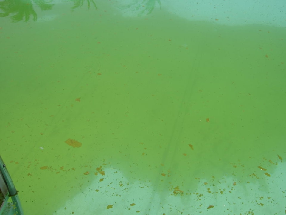 Pool am Tag 2 Riviera Aqua Park Resort