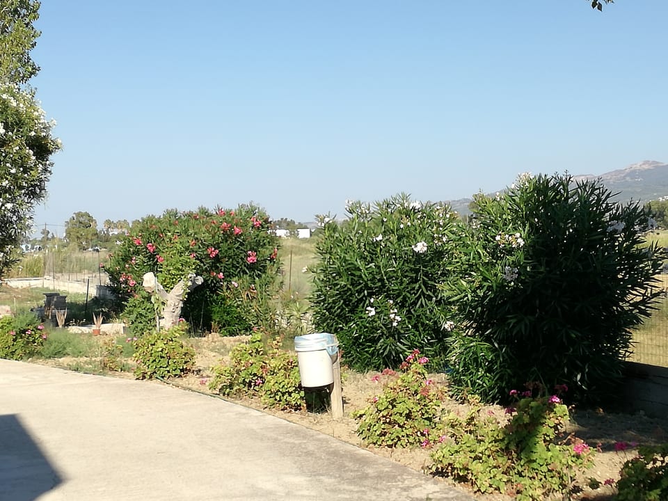 Garten Hotel Esperia