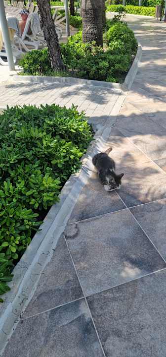 Gartenanlage Sunmelia Beach Resort