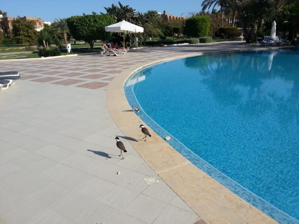 Basen Brayka Bay Resort