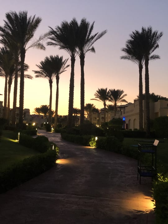 Garten Rixos Sharm El Sheikh Adults Only 18 +