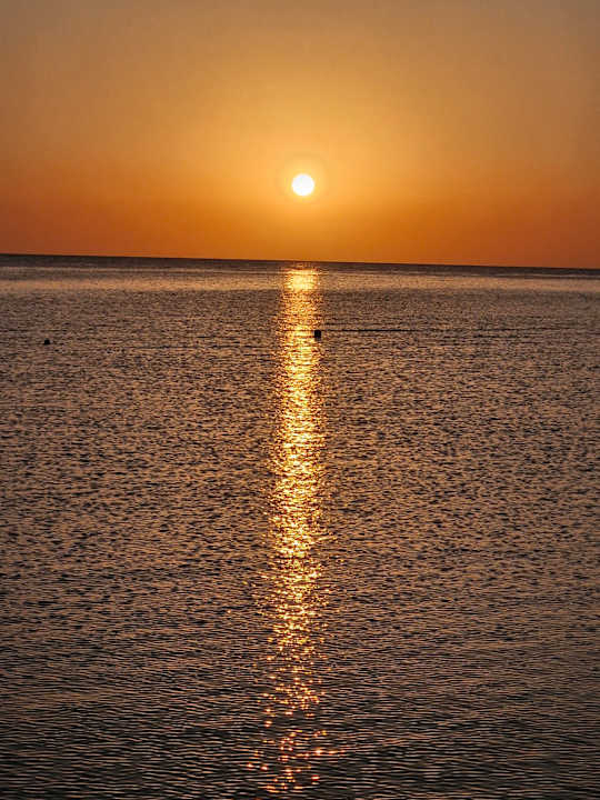 Ausblick Three Corners Fayrouz Plaza Beach Resort