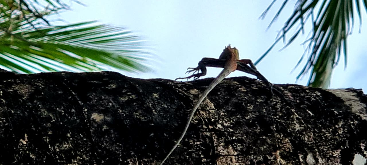 Sonstiges Summer Island Maldives