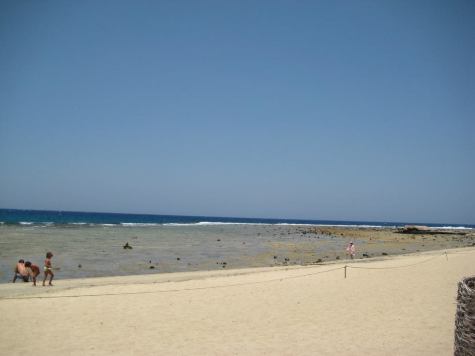 Riffdach bei Ebbe Malikia Resort Abu Dabbab