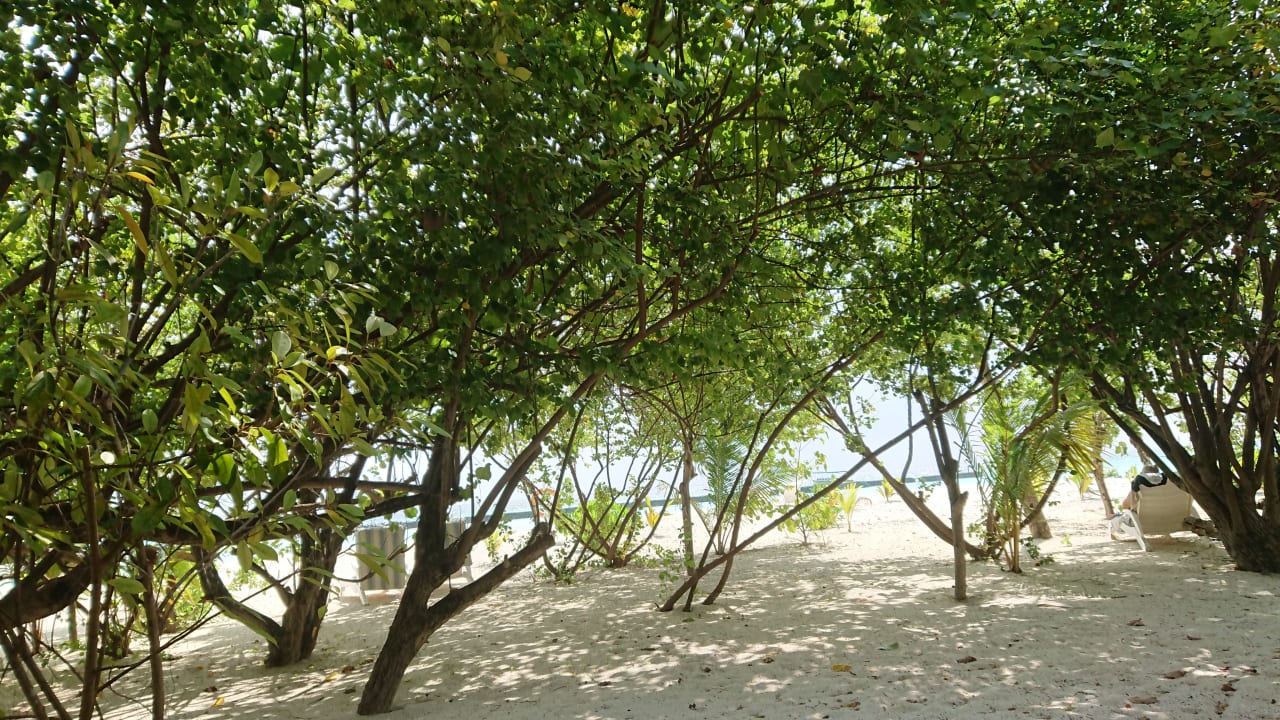 Von unserem Bungalow aus Summer Island Maldives