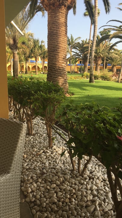 Gartenanlage Club Hotel Drago Park