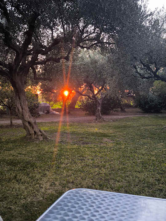 Gartenanlage TUI KIDS CLUB Alex Beach