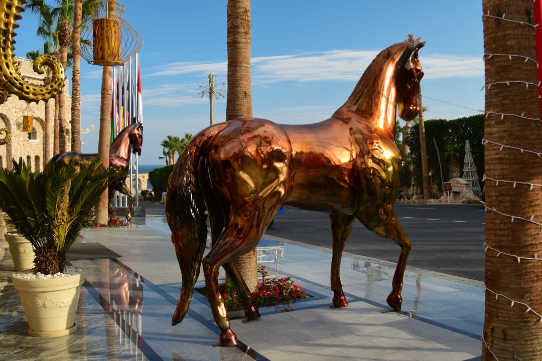 Außenansicht Pickalbatros Citadel Resort