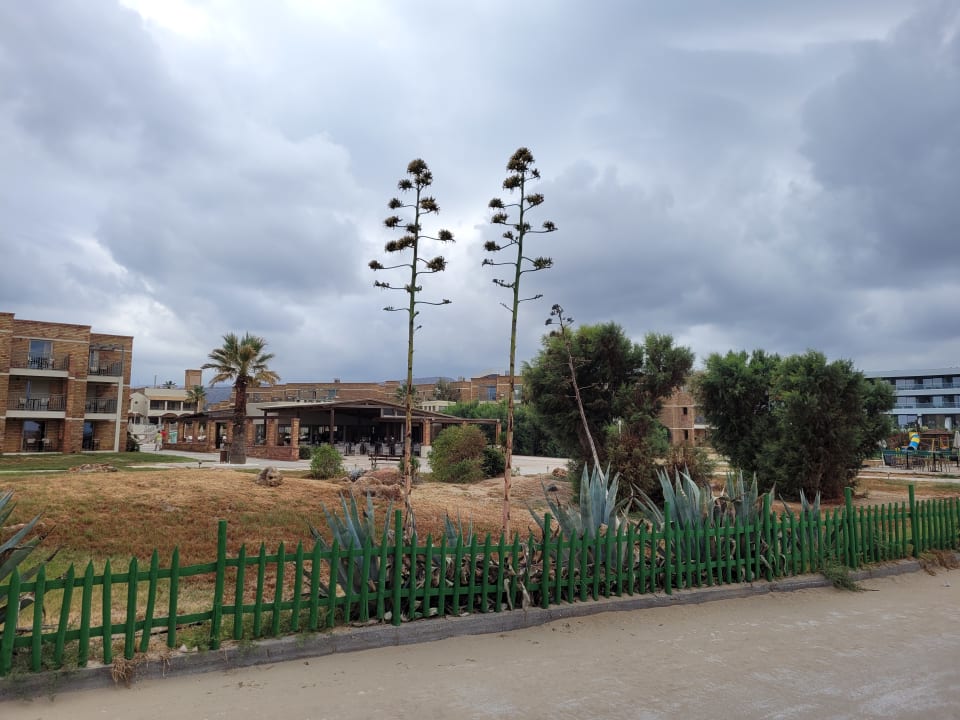 Außenansicht Bella Beach Hotel