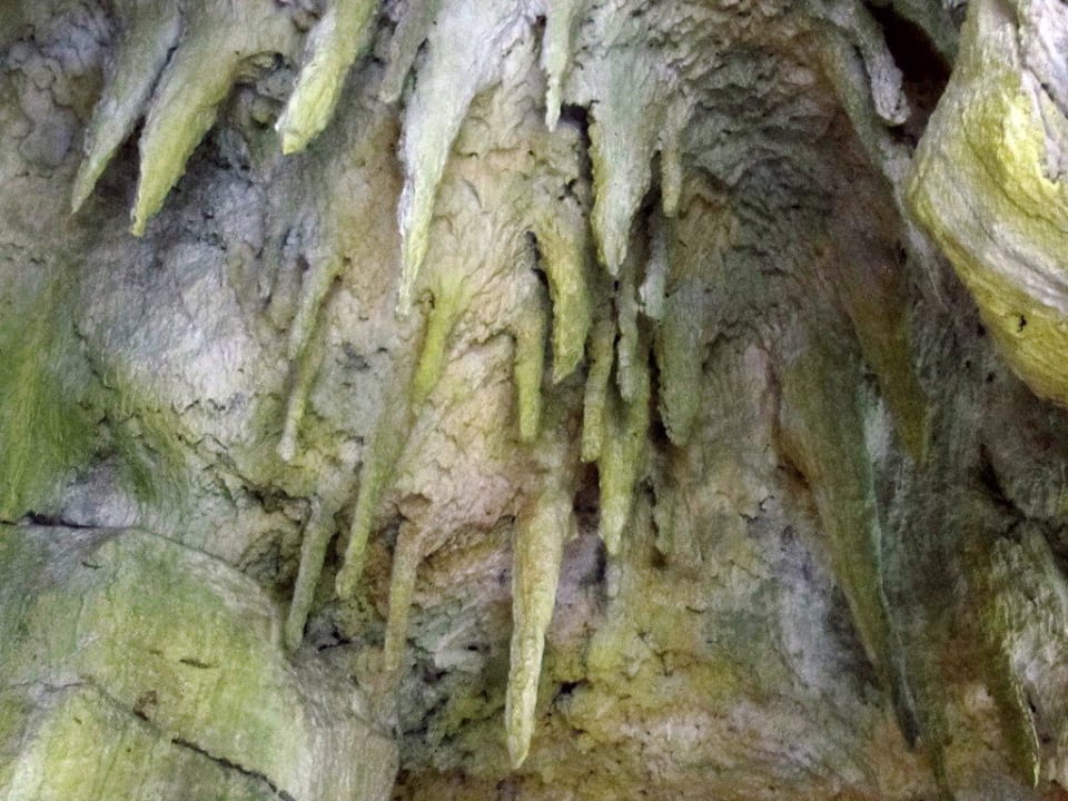 In der Discovery Bay, spitze! Center Parcs De Vossemeren