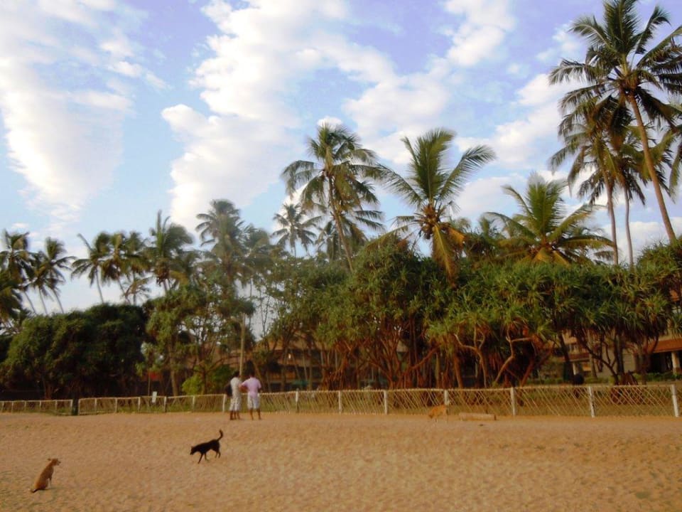 Hotelanlagensicht Royal Palms Beach Hotel