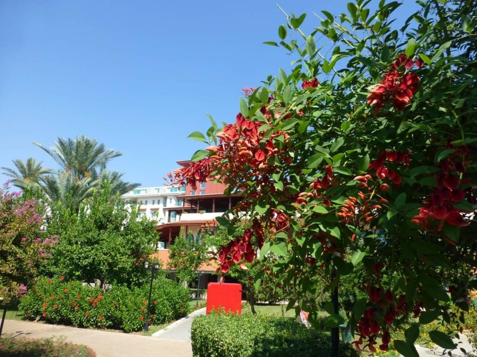 Gartenanlage Belconti Resort Hotel