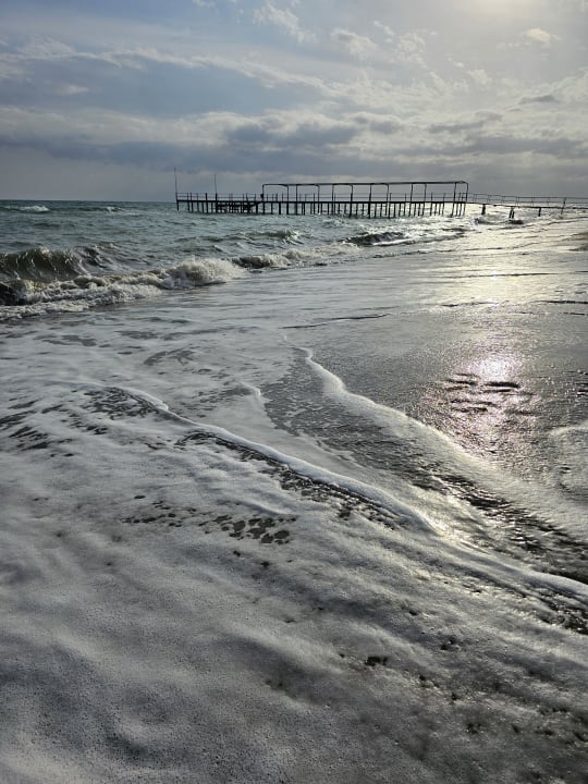 Strand Papillon Ayscha