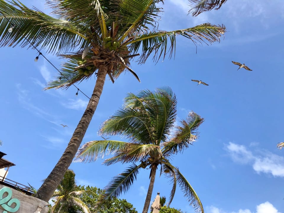 Außenansicht Maria Del Mar Tulum