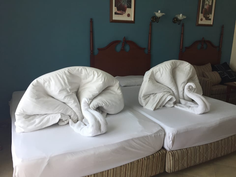 Zimmer Titanic Beach Spa & Aqua Park