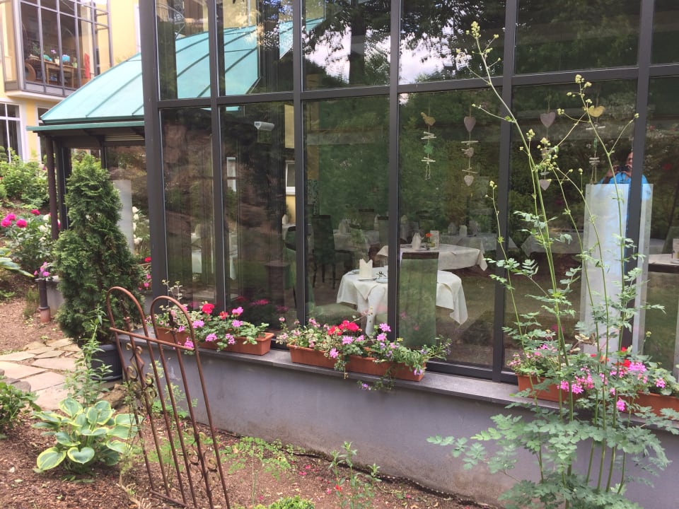 Gartenanlage Spirit & SPA Hotel Birkenhof am Elfenhain